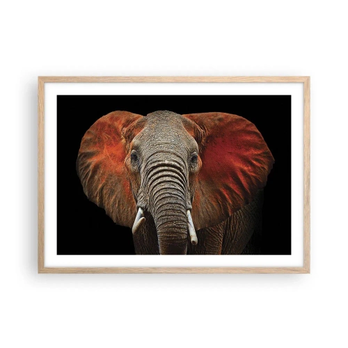 Pôster com moldura de carvalho claro - Eu sou selvagem, e você? - 70x50 cm