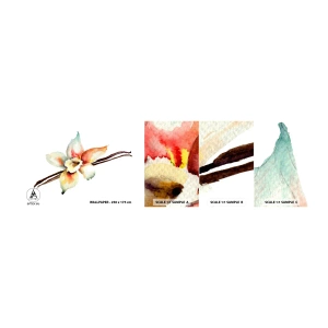 Amostra de Papel de Parede Standard Eco - Doçura derramada com tinta - Flor de baunilha, Flor, Palito de baunilha - 100x30 cm