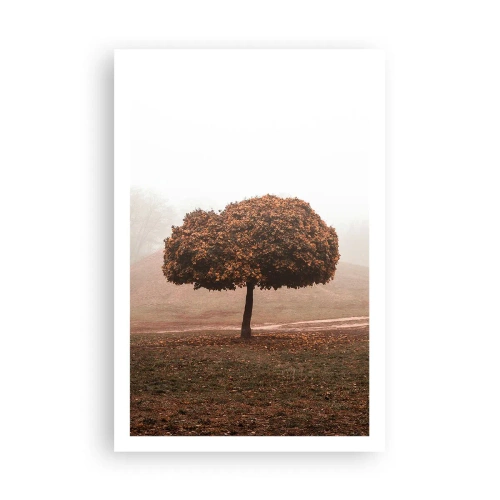 Pôster - Depois de um verão agitado - 61x91 cm