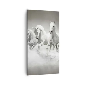 Quadro em tela - Loucura branca - 65x120 cm