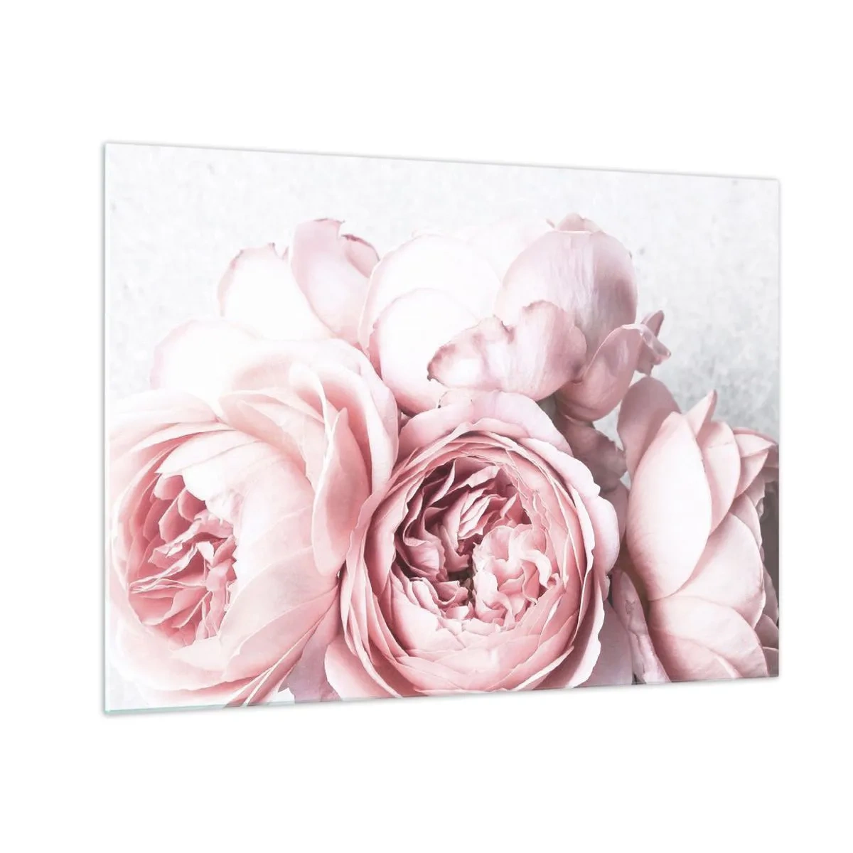Quadro em vidro - Close-up de flores de peônia rosa em luz suave - 70x50cm - Para românticos - Decoração de parede moderna para a sala de estar e quarto ARTTOR