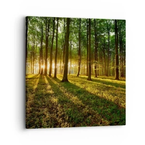 Quadro em tela - Fotografia de todas as primaveras - 30x30 cm