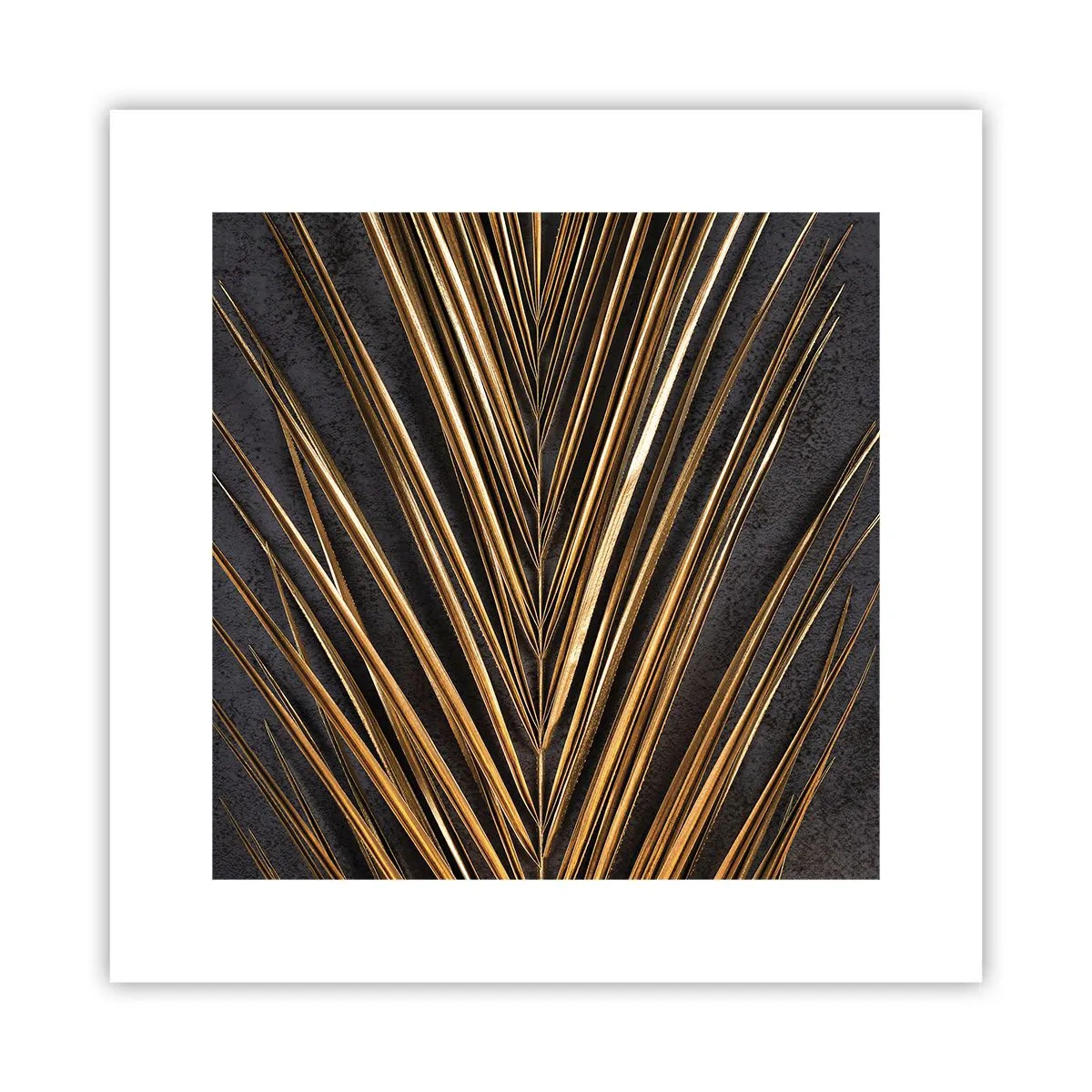 Pôster - Ouro dos trópicos - 30x30 cm