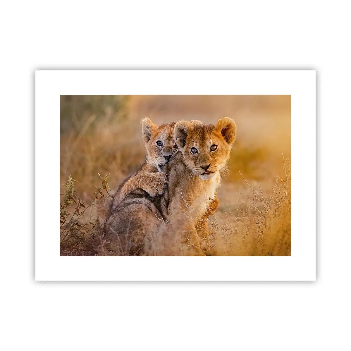 Pôster - Não perturbe! Estamos a divertir-nos - 40x30 cm