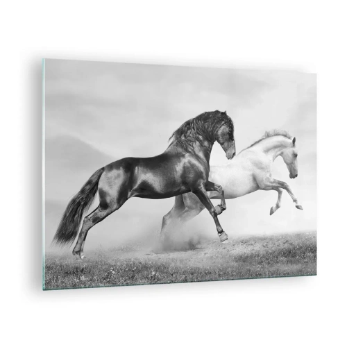 Quadro em vidro - Cavalos pretos e brancos em um ambiente dinâmico - 70x50cm - Anjos e demônios - Decoração de parede moderna para a sala de estar e quarto ARTTOR