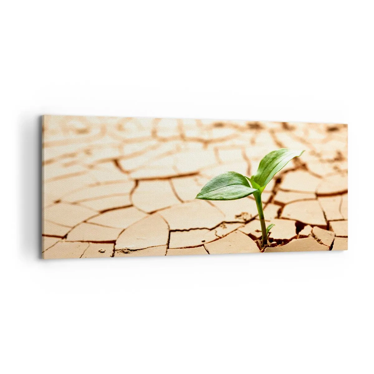 Quadro em tela - A força indomável da vida - 120x50 cm