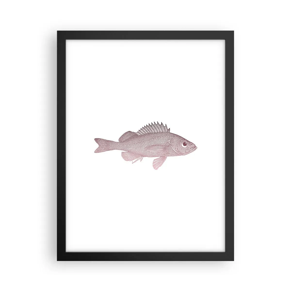 Pôster com moldura preta - Peixe de olhos grandes - 30x40 cm