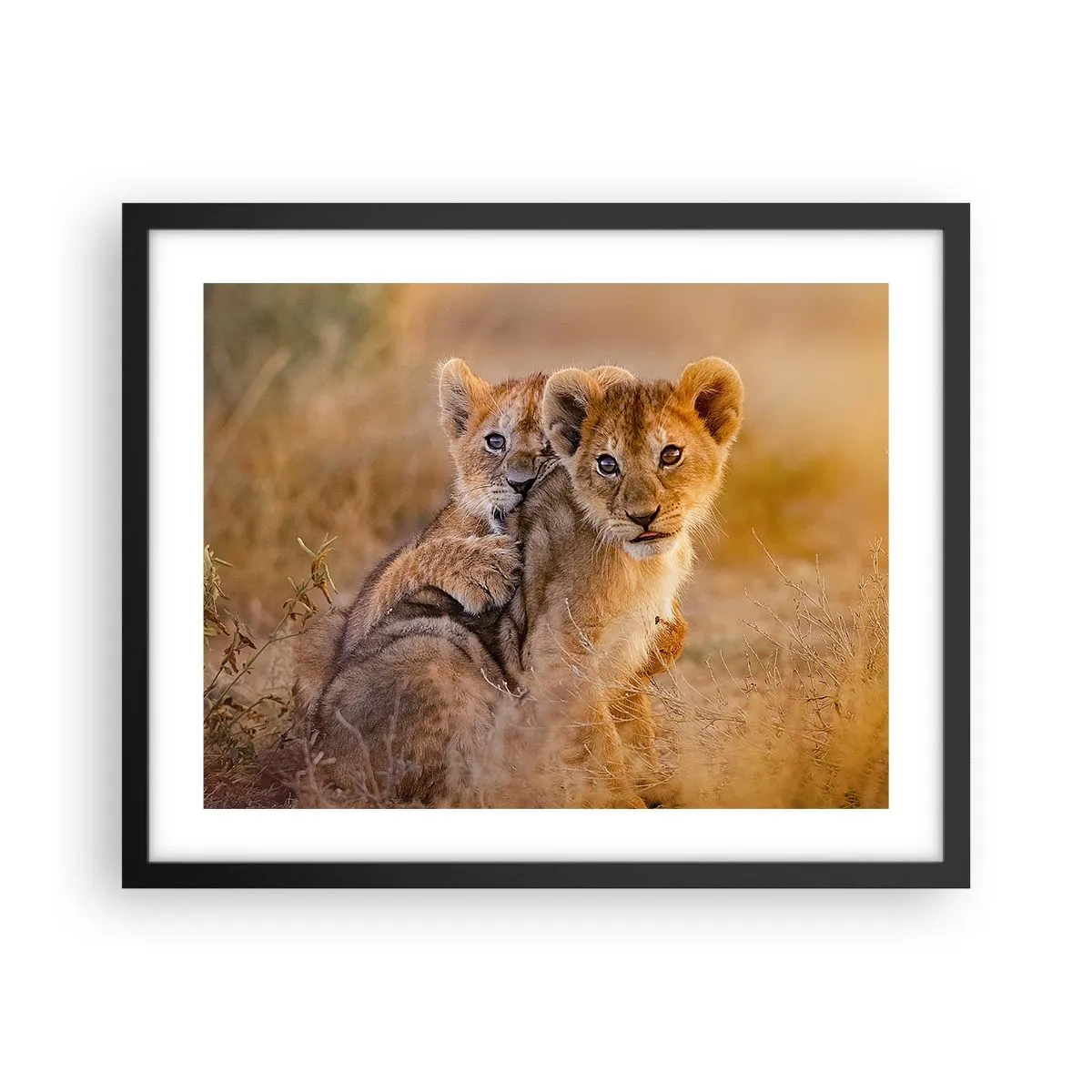 Pôster com moldura preta - Não perturbe! Estamos a divertir-nos - 50x40 cm