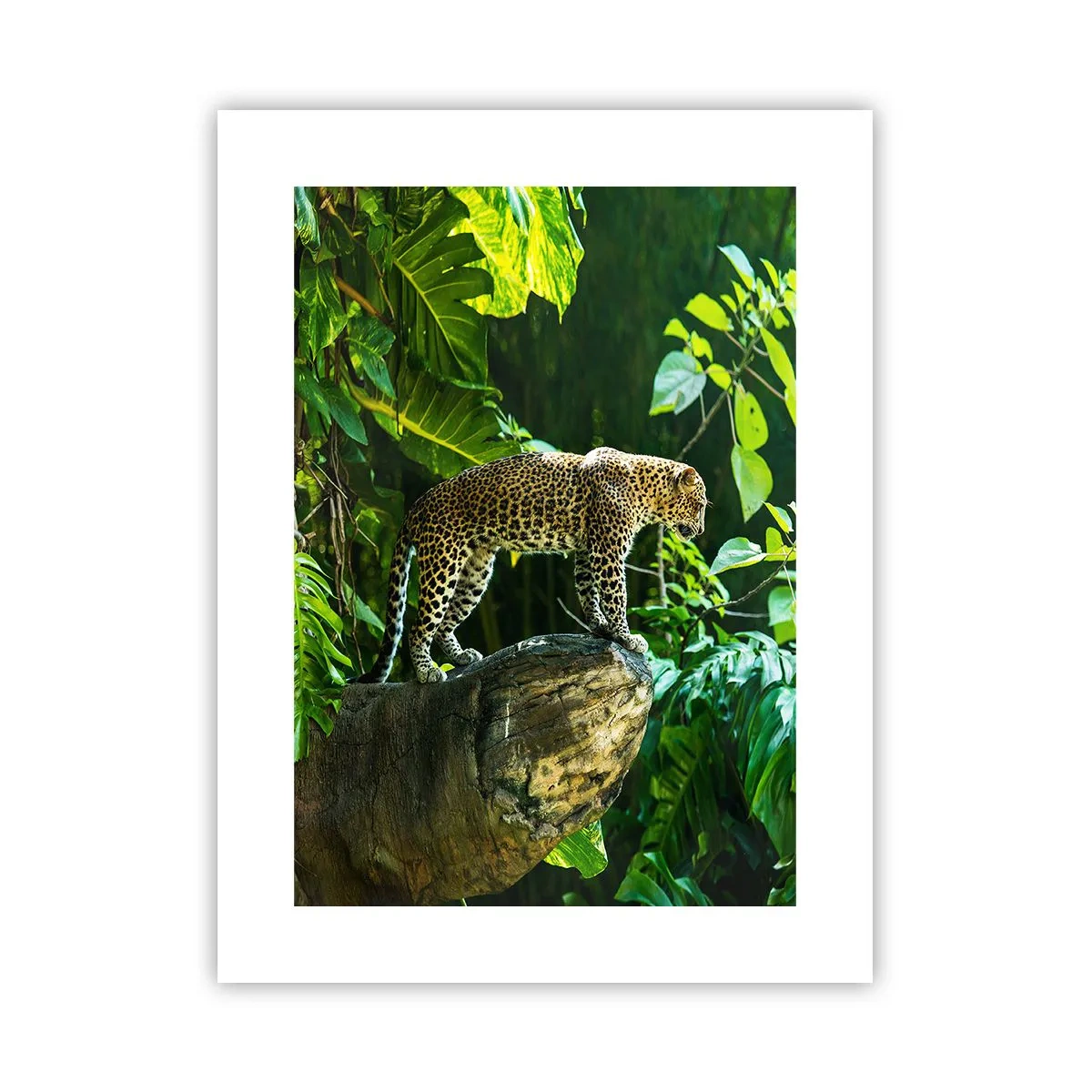 Pôster - Vamos caçar? - 30x40 cm