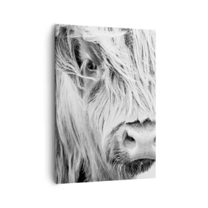 Quadro em tela - Natureza selvagem escocesa - 50x70 cm