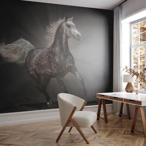 Papel de parede personalizado Premium Sand - O cinza é lindo - Animais, Cavalo árabe, Natureza