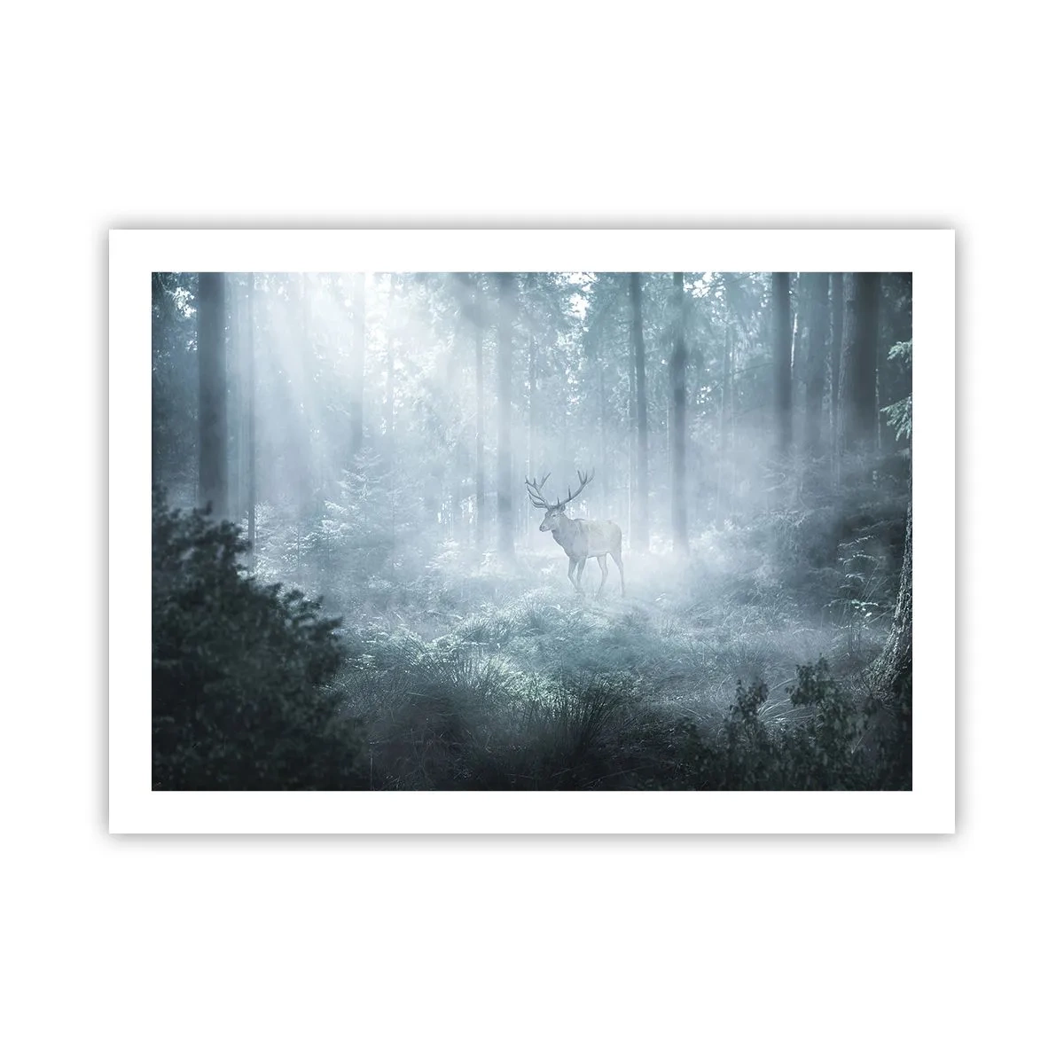 Pôster - Passeio matinal à volta da propriedade - 70x50 cm