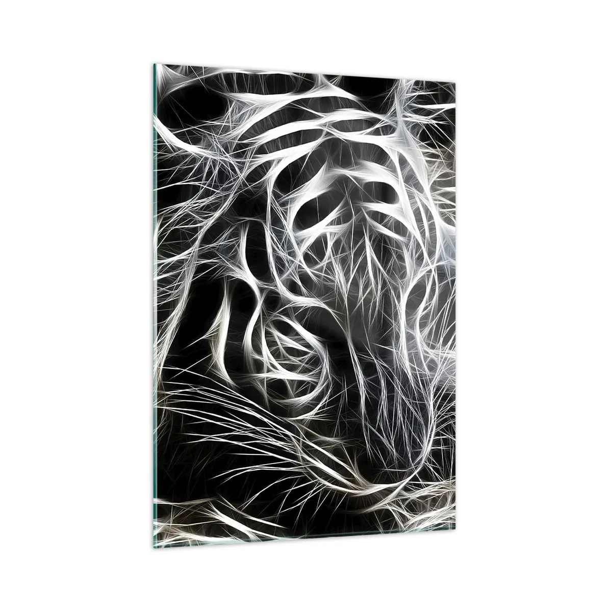 Quadro em vidro - Um estudo da leveza do gato - 50x70 cm