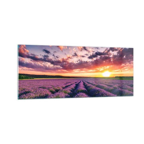 Quadro em vidro - O mundo da lavanda - 100x40 cm