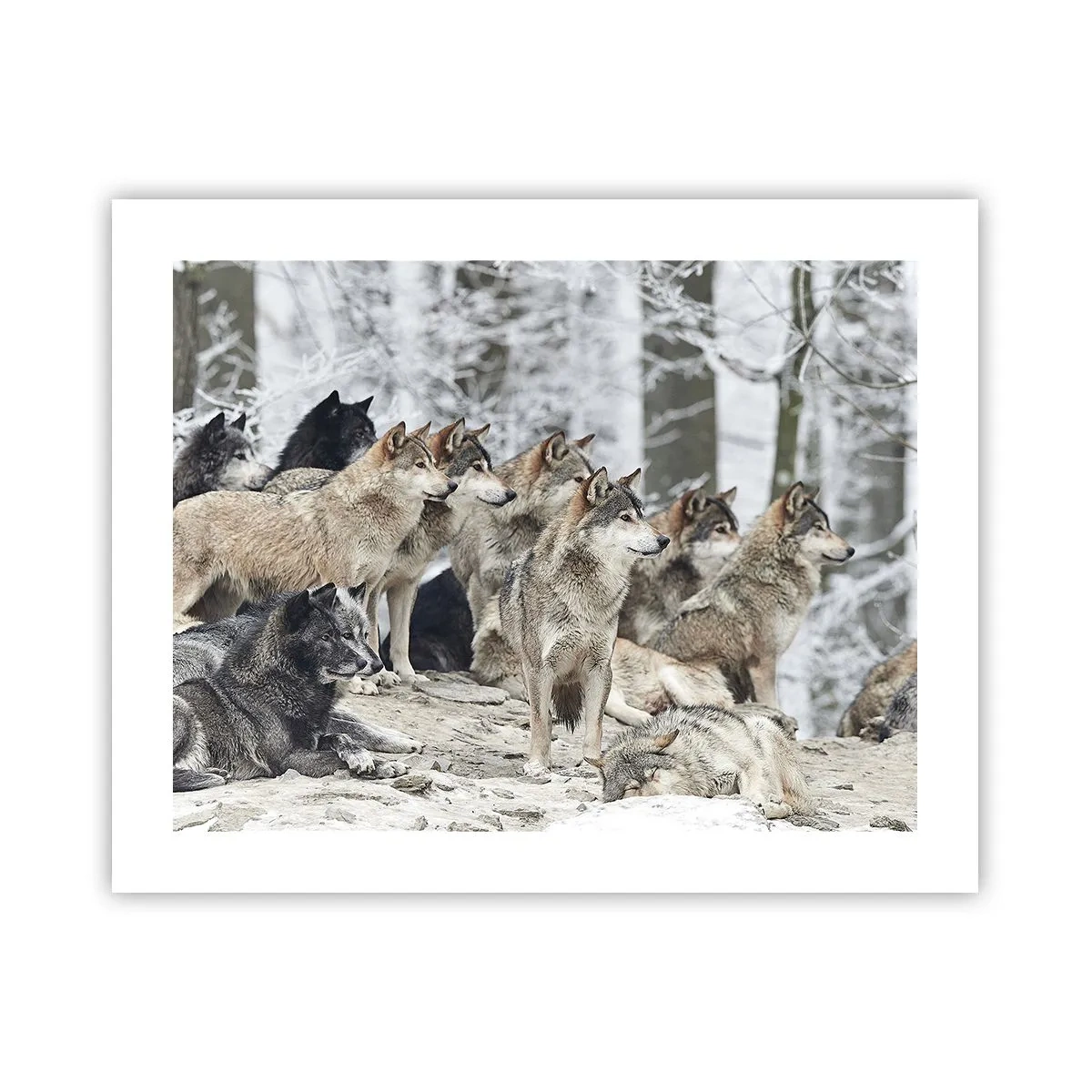 Pôster - Família e amigos - 50x40 cm