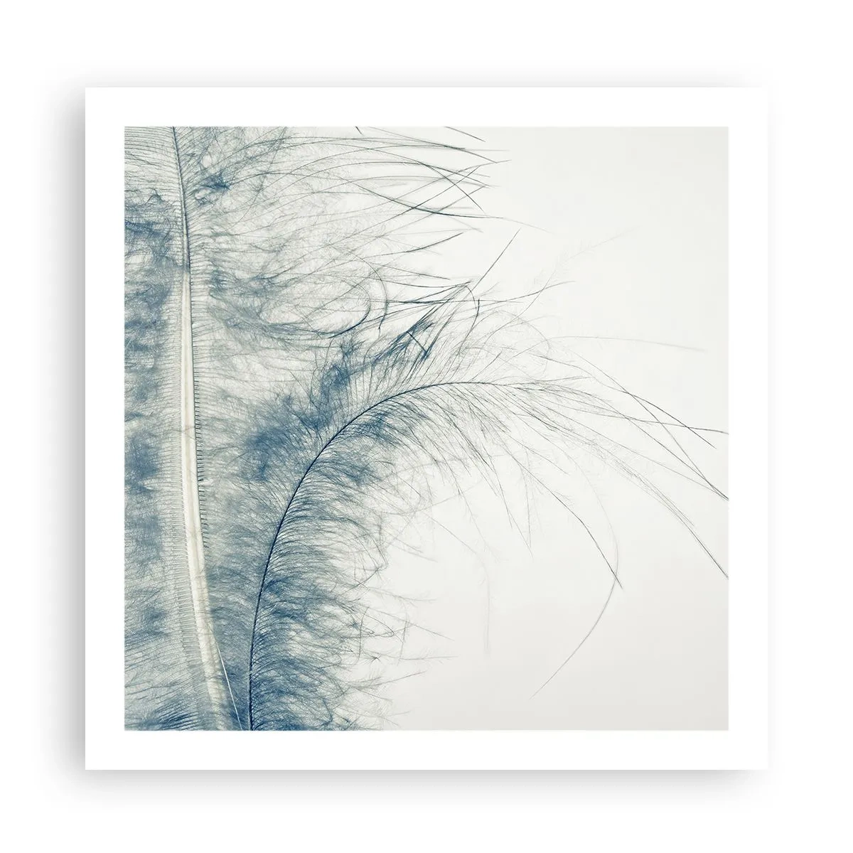 Pôster - O sussurro da natureza - 60x60 cm