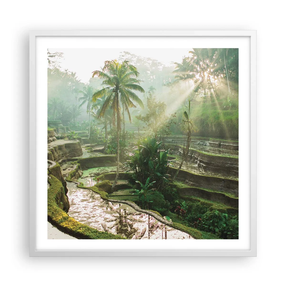 Pôster em moldura branca - Crescer ao sol - 60x60 cm