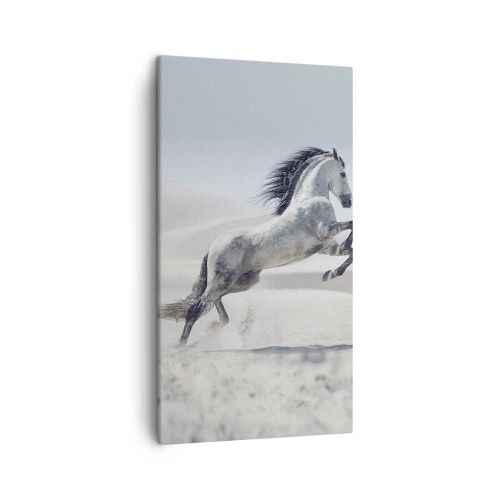 Quadro em tela - Príncipe árabe - 45x80 cm