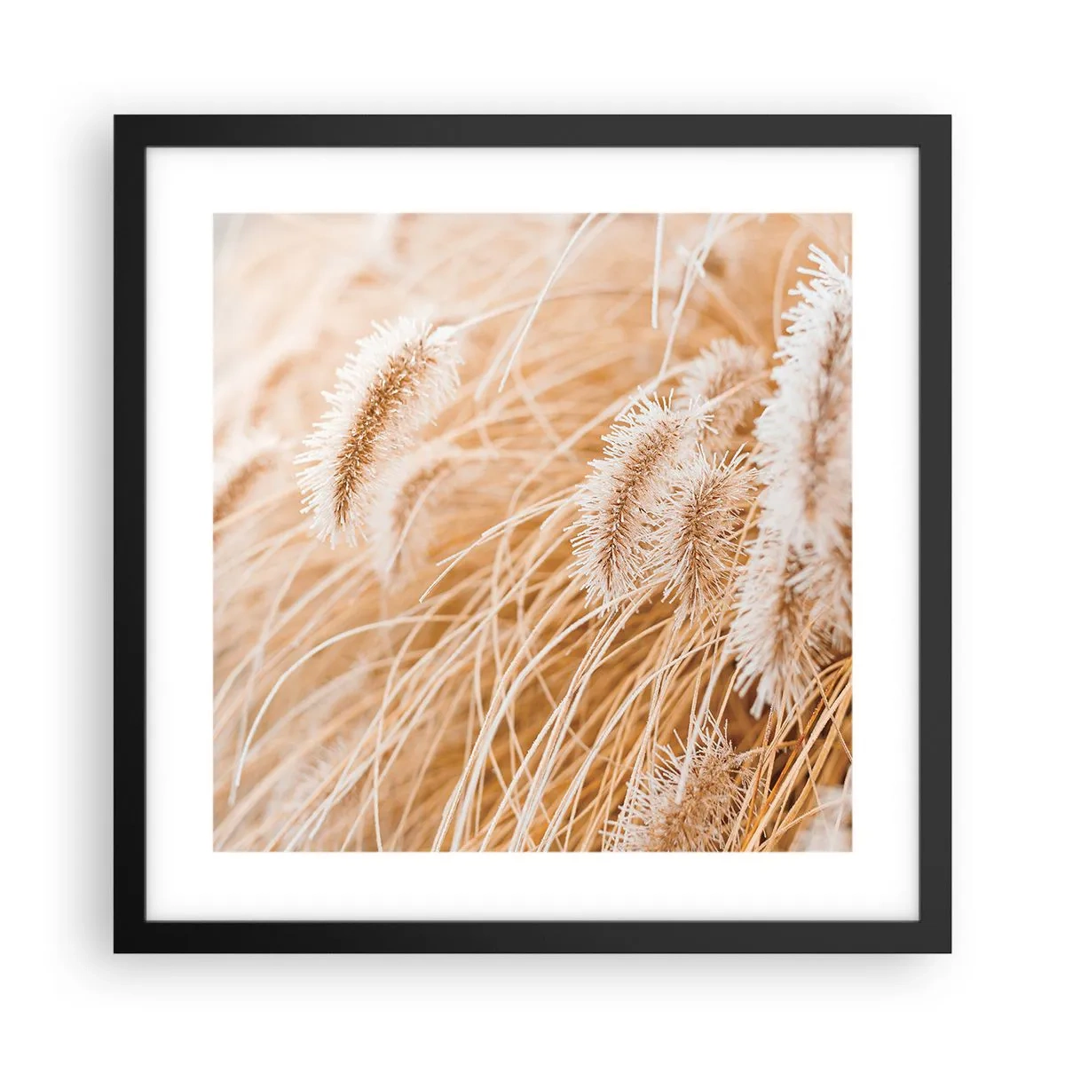 Pôster com moldura preta - O murmúrio dourado das plantas - 40x40 cm