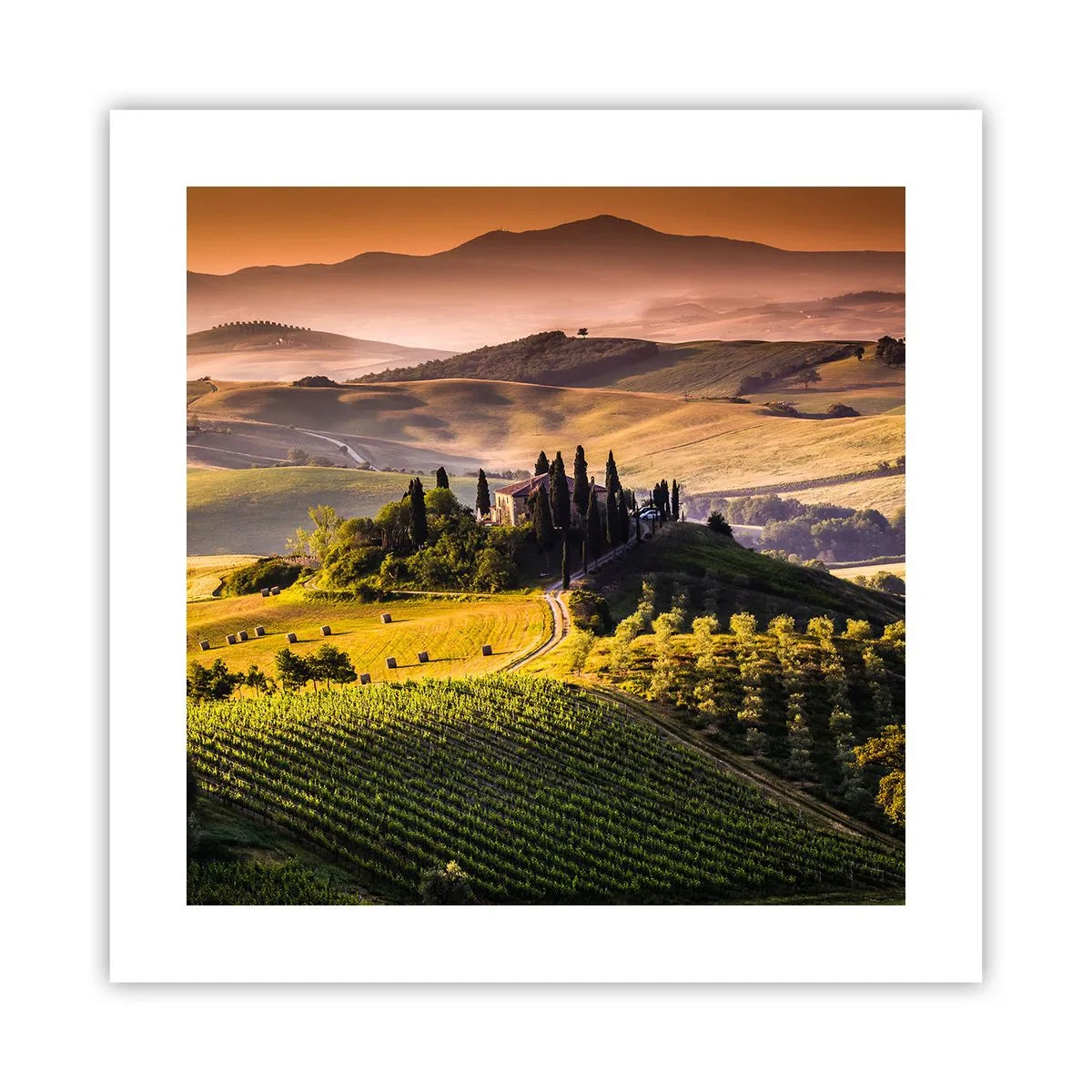 Pôster - Arcádia - Paisagem toscana - 40x40 cm