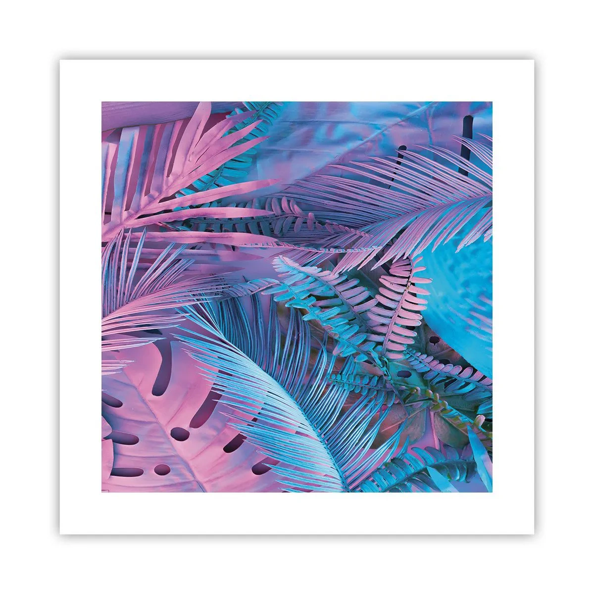 Pôster - Trópicos em rosa e azul - 40x40 cm