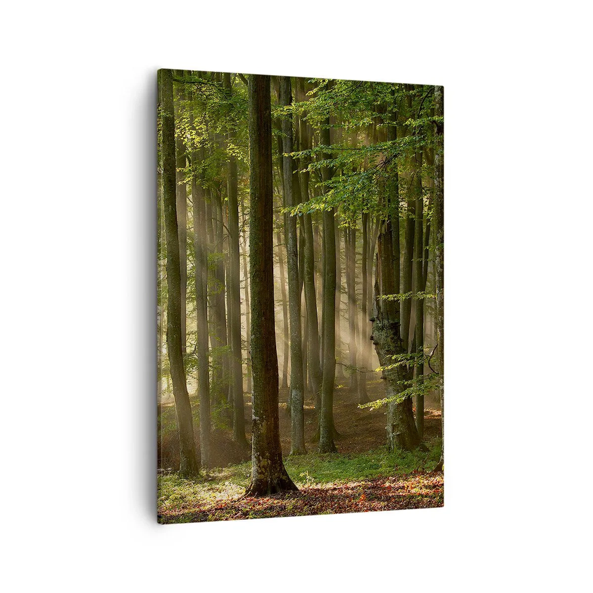 Quadro em tela - Radiante em uma manhã de primavera - 50x70 cm