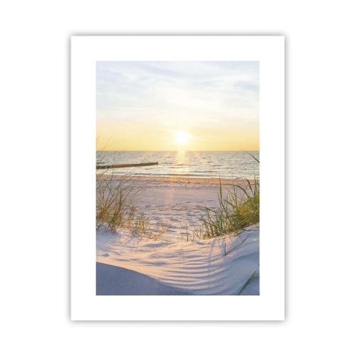 Pôster - O som do mar, o canto dos pássaros, a praia selvagem entre a relva... - 30x40 cm
