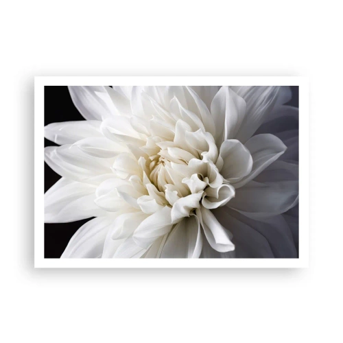 Pôster - Manhã da noiva - 100x70 cm