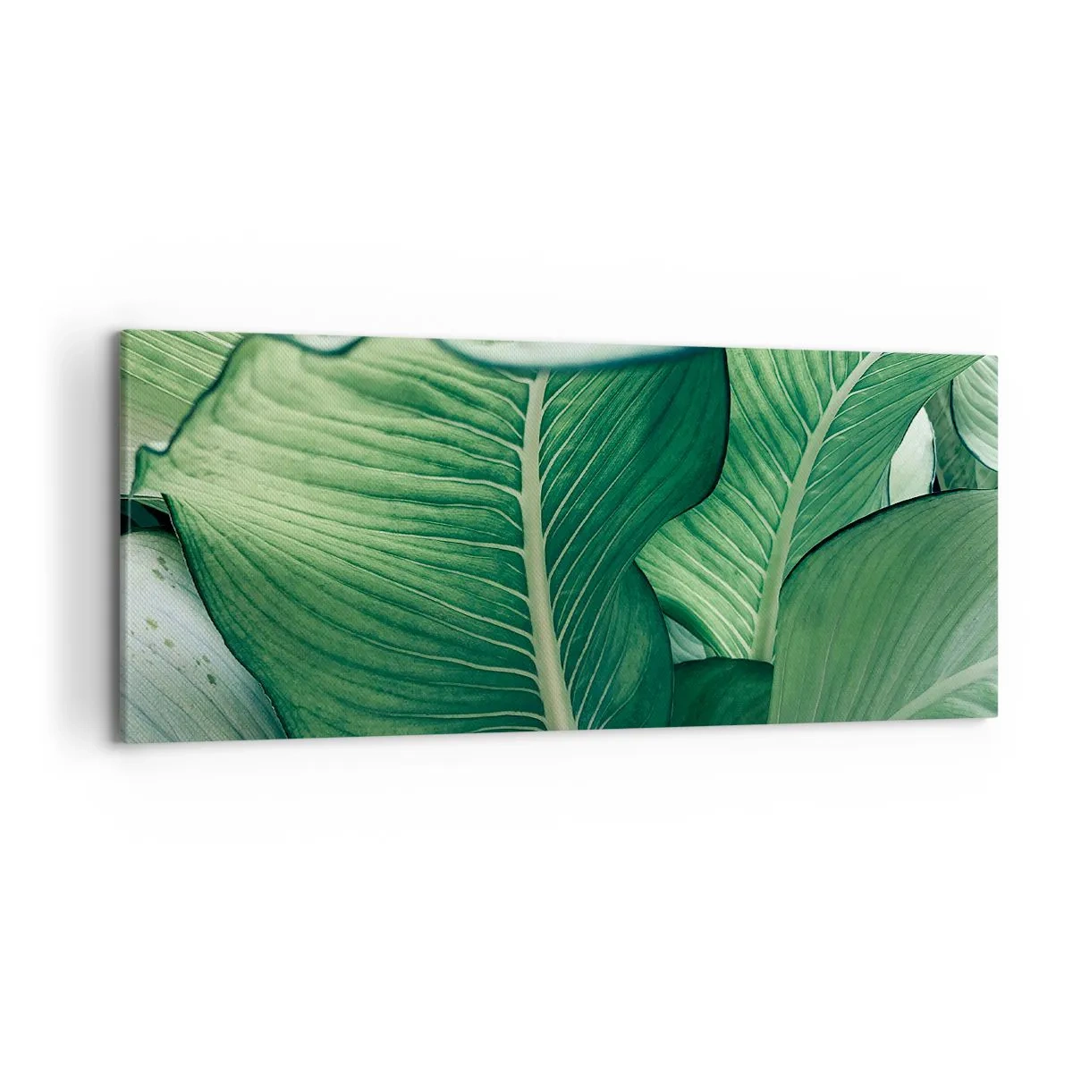 Quadro em tela - Vida intensamente verde - 120x50 cm