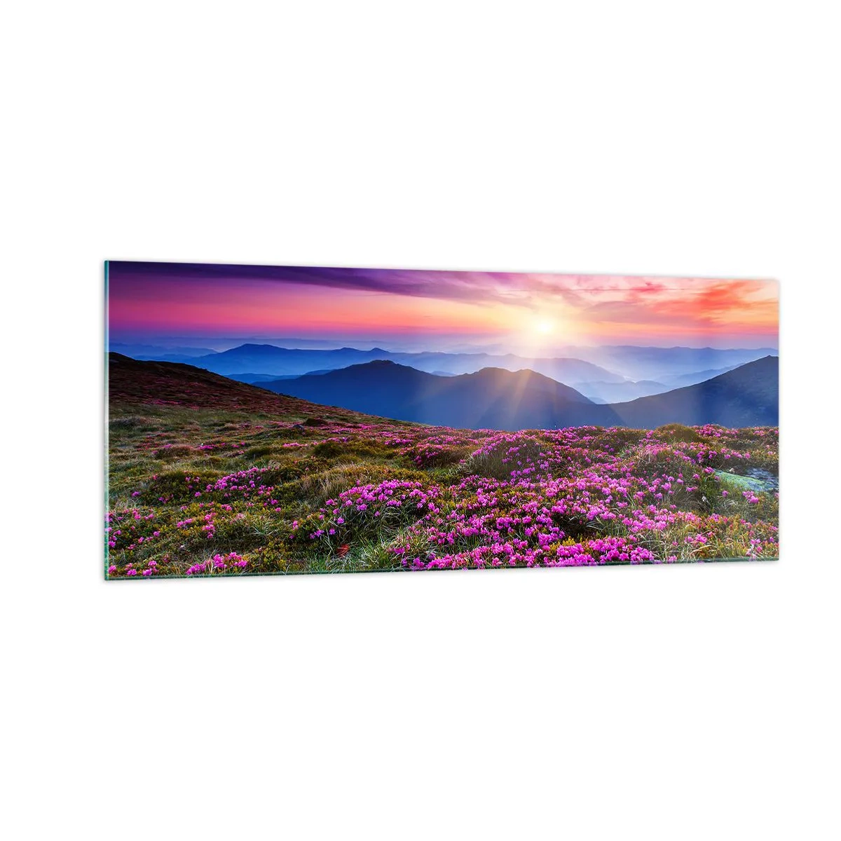 Quadro em vidro - Campo cheiroso - 100x40 cm