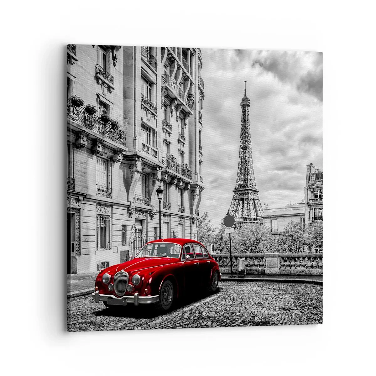 Quadro em tela - Predador na cidade - 70x70 cm