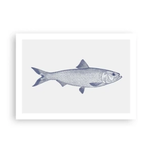 Pôster - Saudações dos mares do norte - 70x50 cm