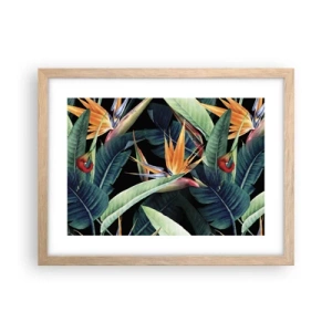 Pôster com moldura de carvalho claro - Flores ardentes dos trópicos - 40x30 cm