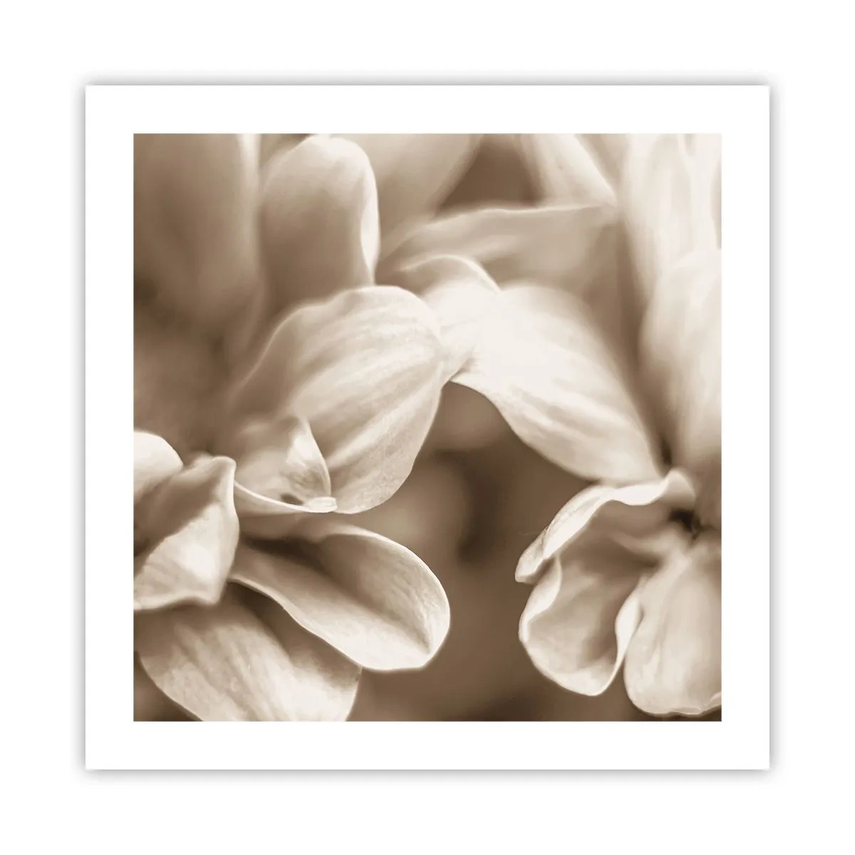 Pôster - Gentil como um sorriso - 50x50 cm