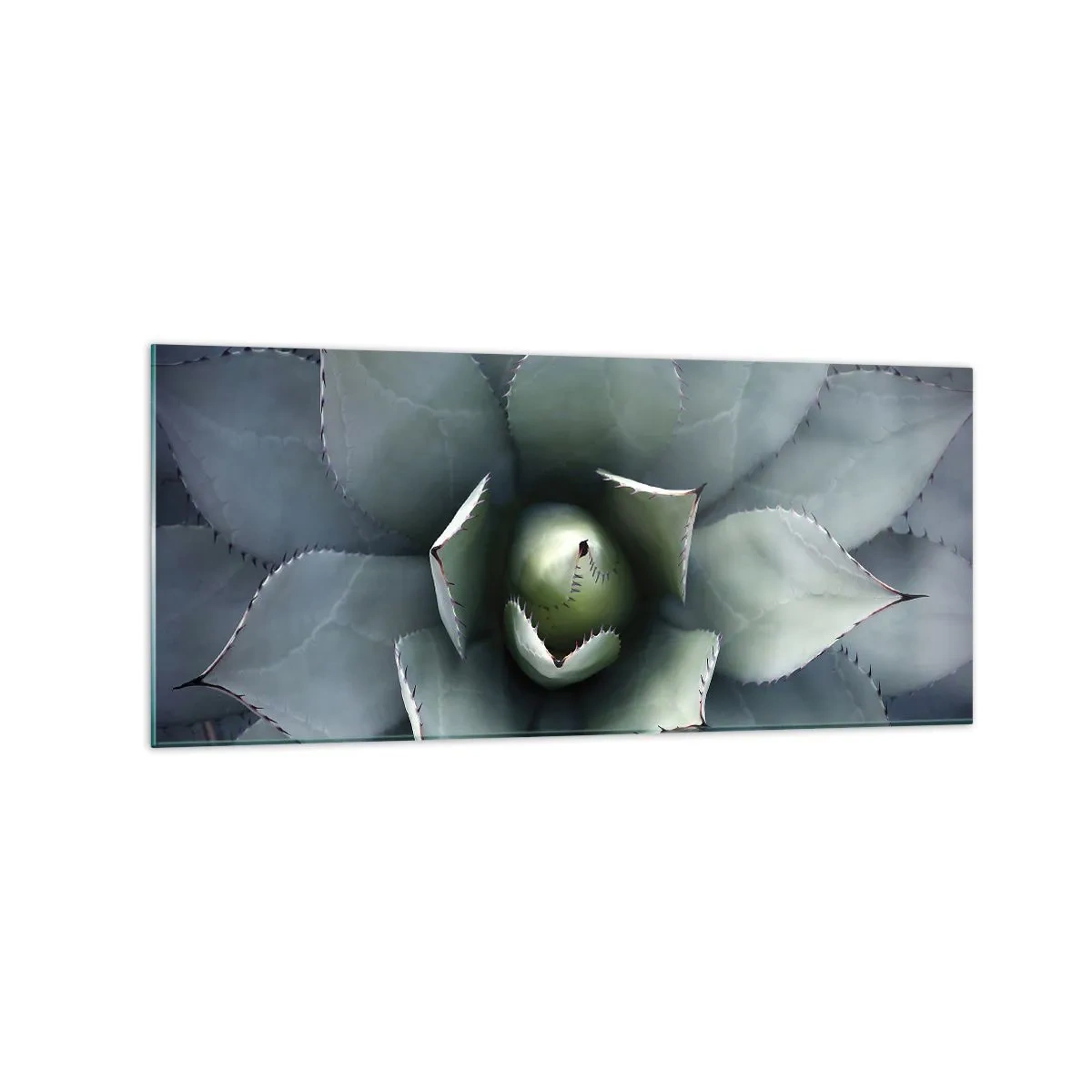 Quadro em vidro - Atrai e adverte - 120x50 cm