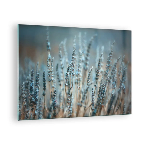 Quadro em vidro - Um campo de lavanda em luz suave e fresca - 70x50cm - Prado perfumado - Decoração de parede moderna para a sala de estar e quarto ARTTOR