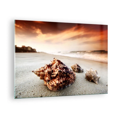 Quadro em vidro - Conchas na praia ao pôr do sol - 70x50cm - Expulso pelas ondas - Decoração de parede moderna para a sala de estar e quarto ARTTOR