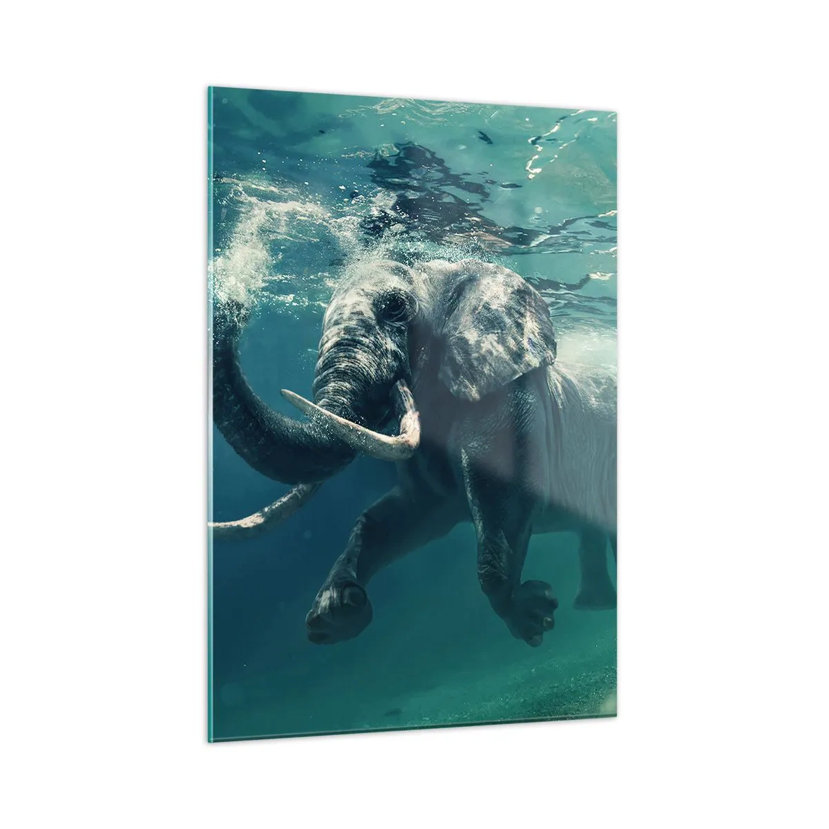 Quadro em vidro - Todo mundo gosta de nadar - 50x70 cm