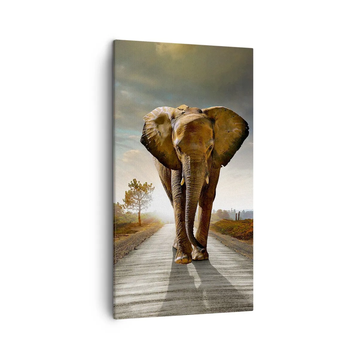 Quadro em tela - Não faz parte da composição da porcela - 45x80 cm