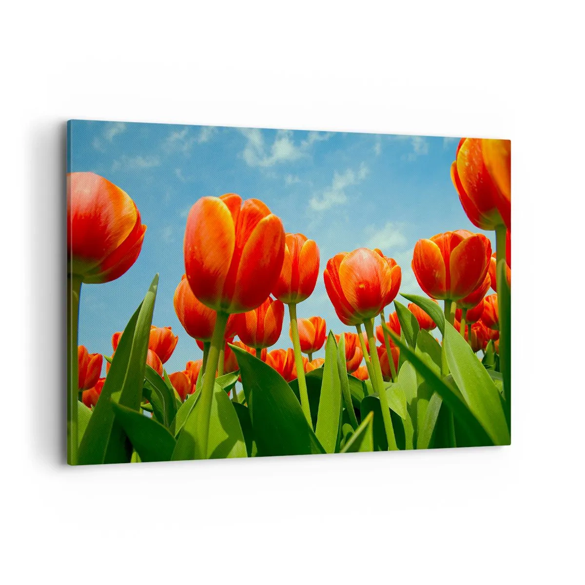 Quadro em tela - Além do céu azul, nada mais é necessário na vida - 100x70 cm