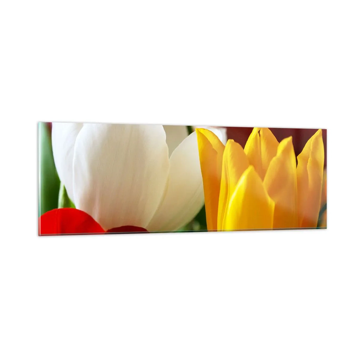 Quadro em vidro - Febre das tulipas - 90x30 cm
