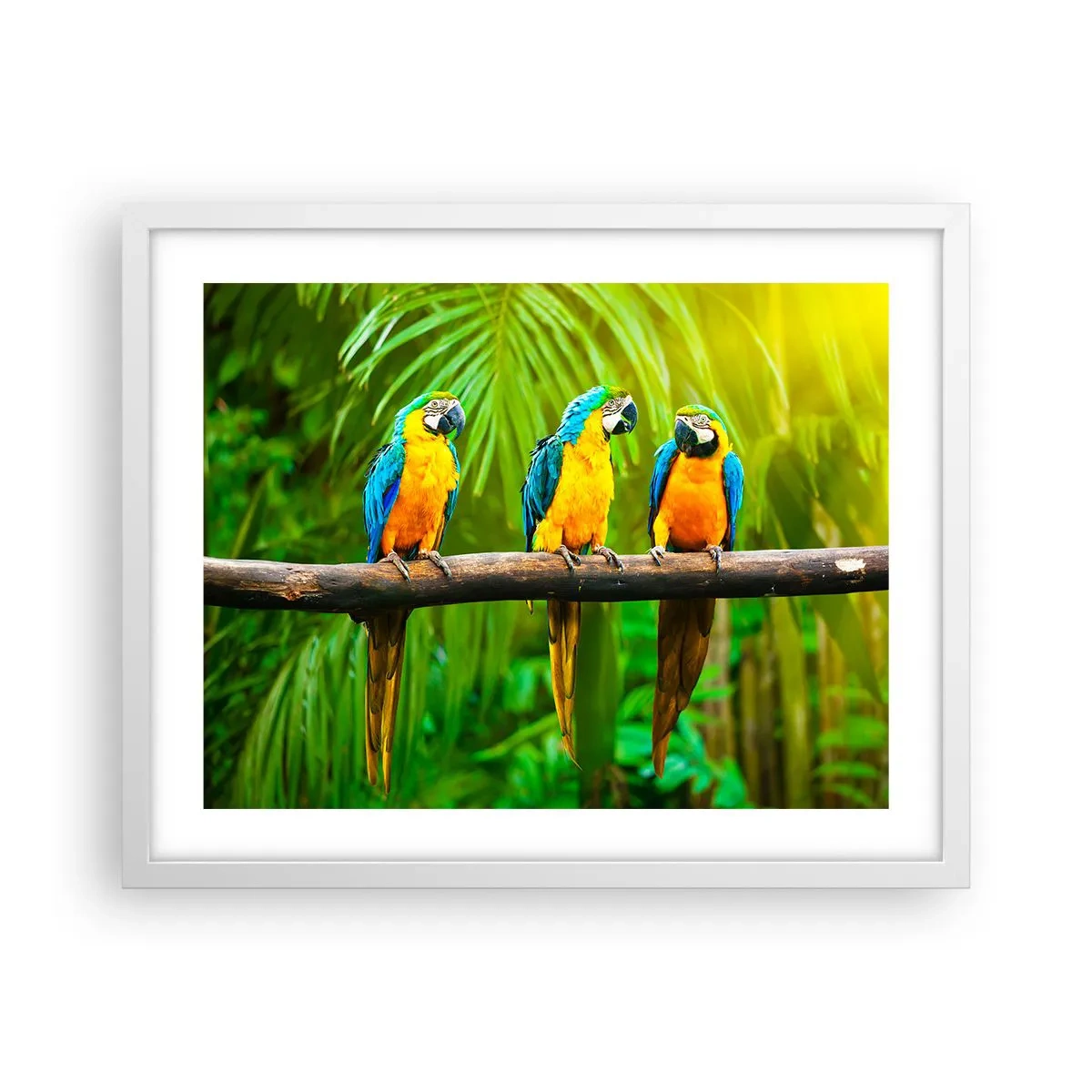 Pôster em moldura branca - E ouviste dizer que ela...? - 50x40 cm