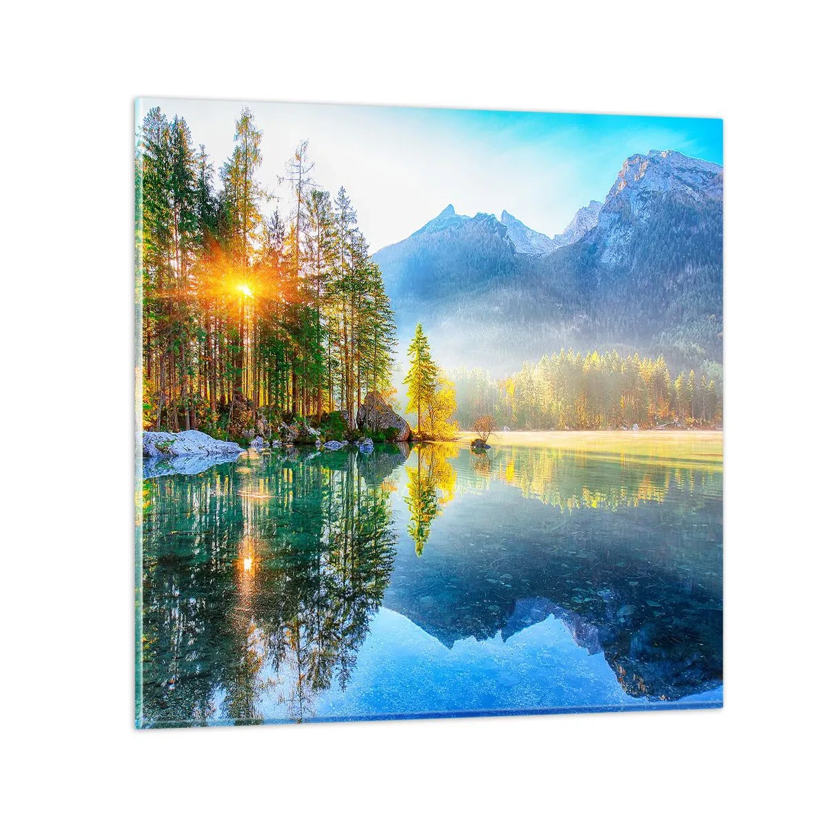 Quadro em vidro - Majestade e doçura - 50x50 cm