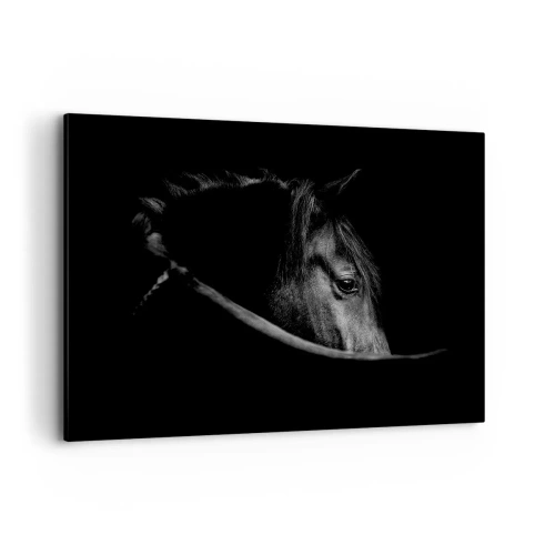Quadro em tela - Príncipe Negro - 100x70 cm