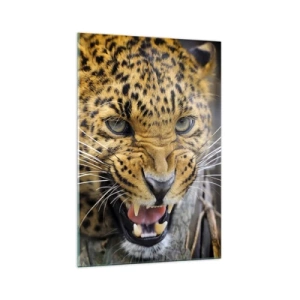 Quadro em vidro - Não se aproxime, estou a avisar! - 70x100 cm