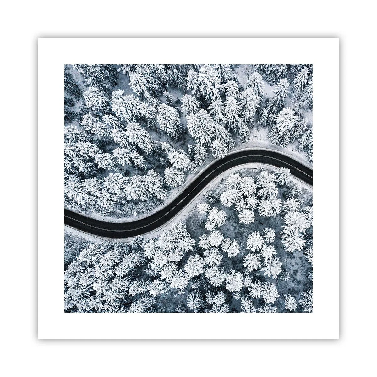 Pôster - Pelaa floresta no inverno - 40x40 cm