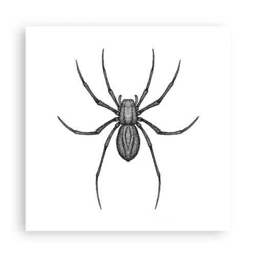 Pôster - Precisão perturbadora - 60x60 cm