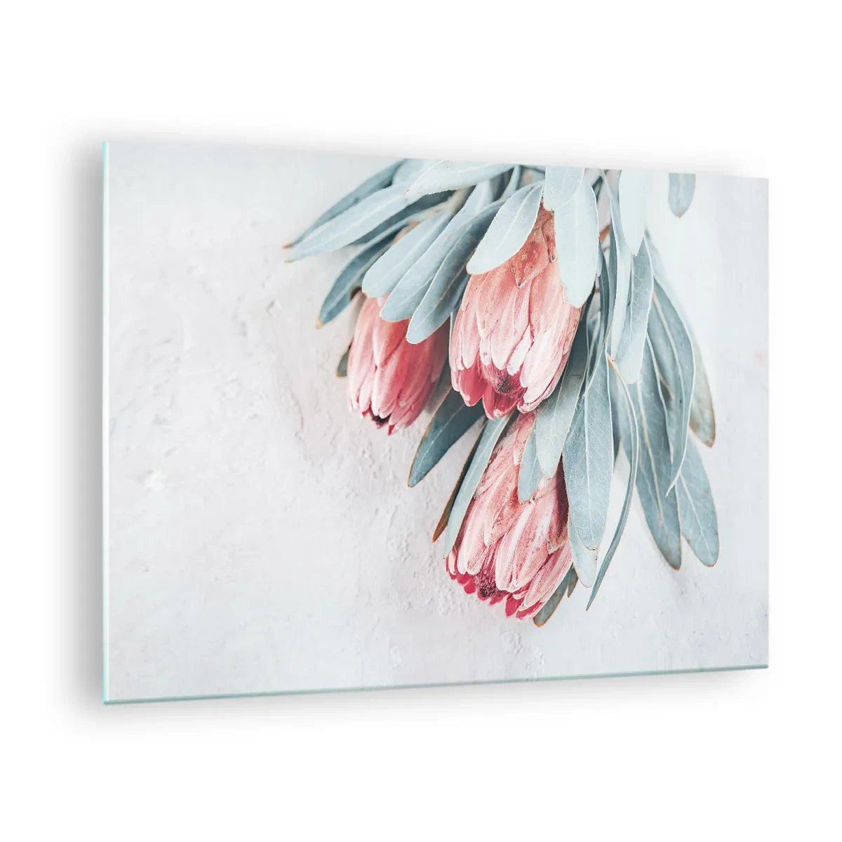 Quadro em vidro - Três flores de protea em tons pastéis com folhas em um fundo claro - 70x50cm - Envergonhadas da sua própria beleza - Decoração de parede moderna para a sala de estar e quarto ARTTOR