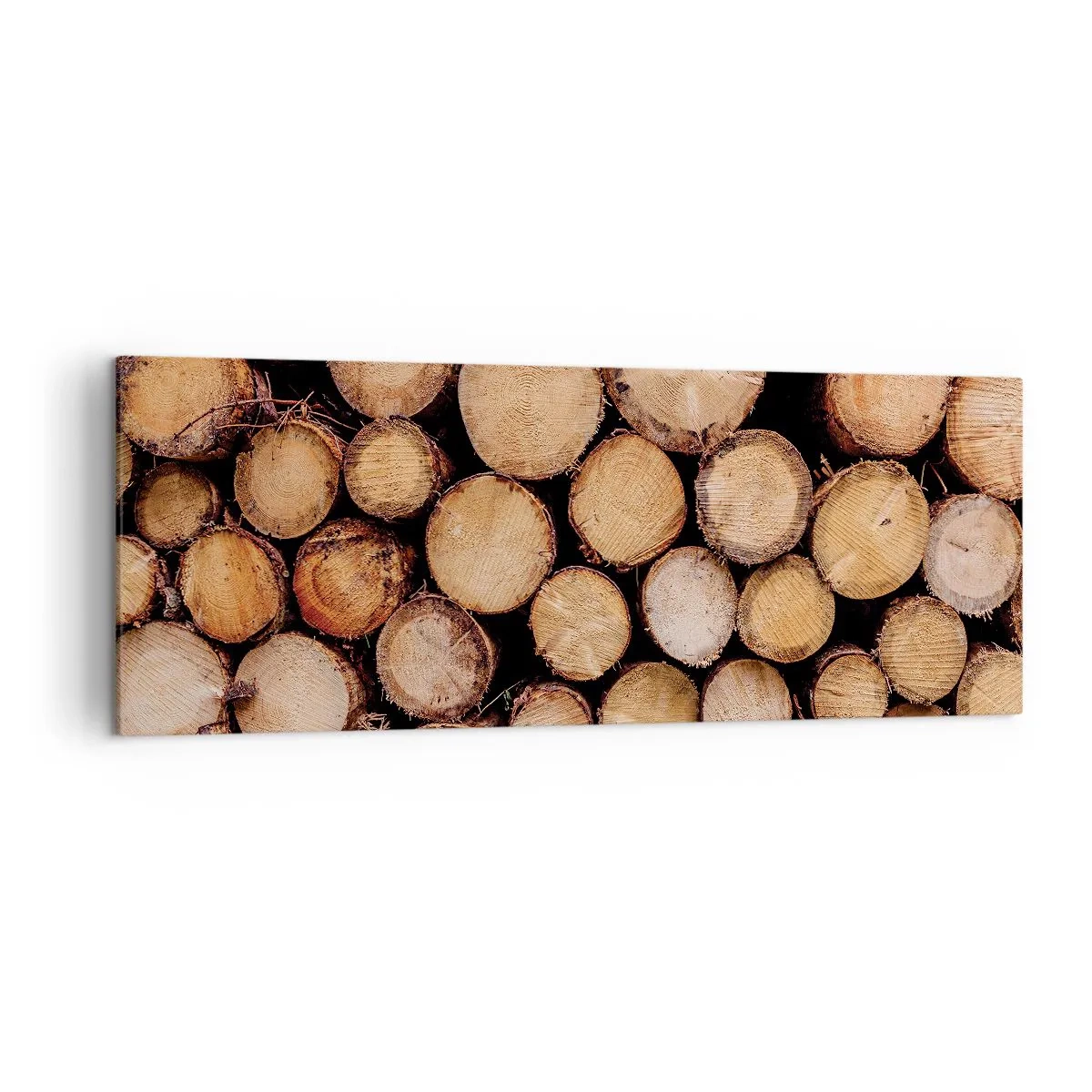 Quadro em tela - Um novo começo - 140x50 cm