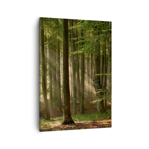 Quadro em tela - Radiante em uma manhã de primavera - 50x70 cm